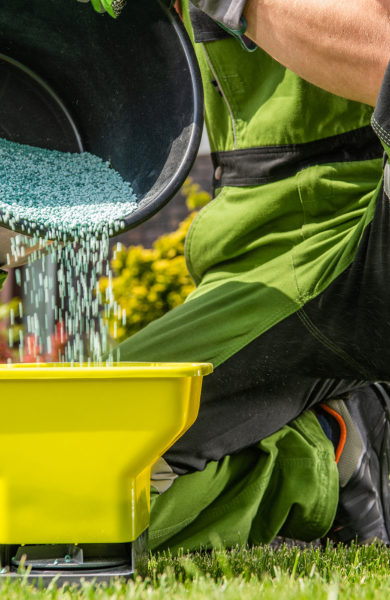 Fertilization Fertilization