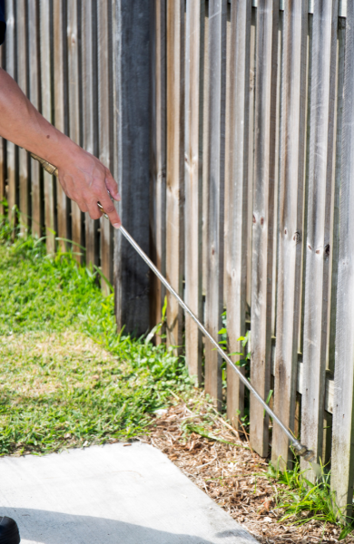 pest control pest control